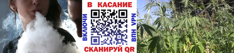 МЕФ Орехово-Зуево