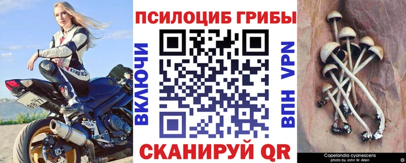 Галлюциногенные грибы MAGIC MUSHROOMS Орехово-Зуево